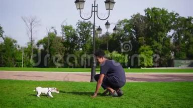 年轻英俊的非洲男人在公园里和小狗玩耍，一起在绿草上奔跑。 小狗狗狗狗狗